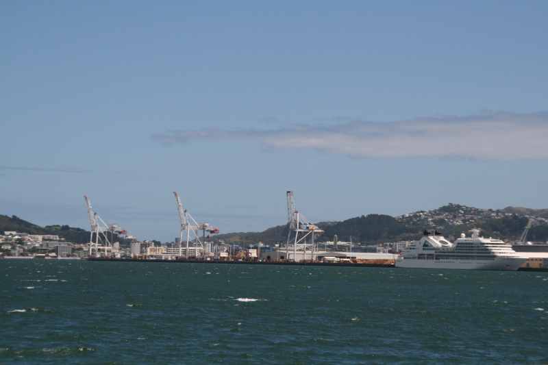 Nieuw-Zeeland 2011 - 0892